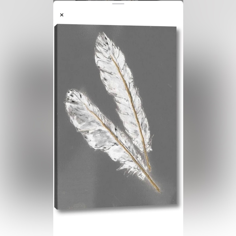 Gray and White Feather Canvas Art